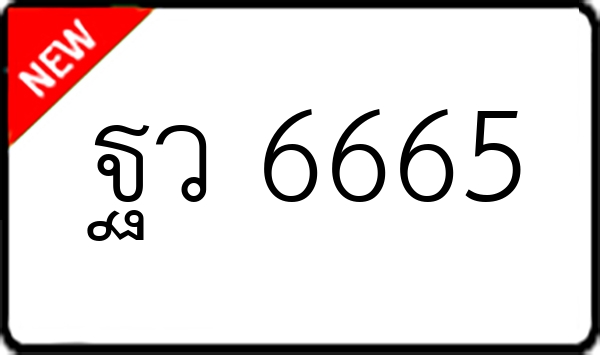 ฐว 6665